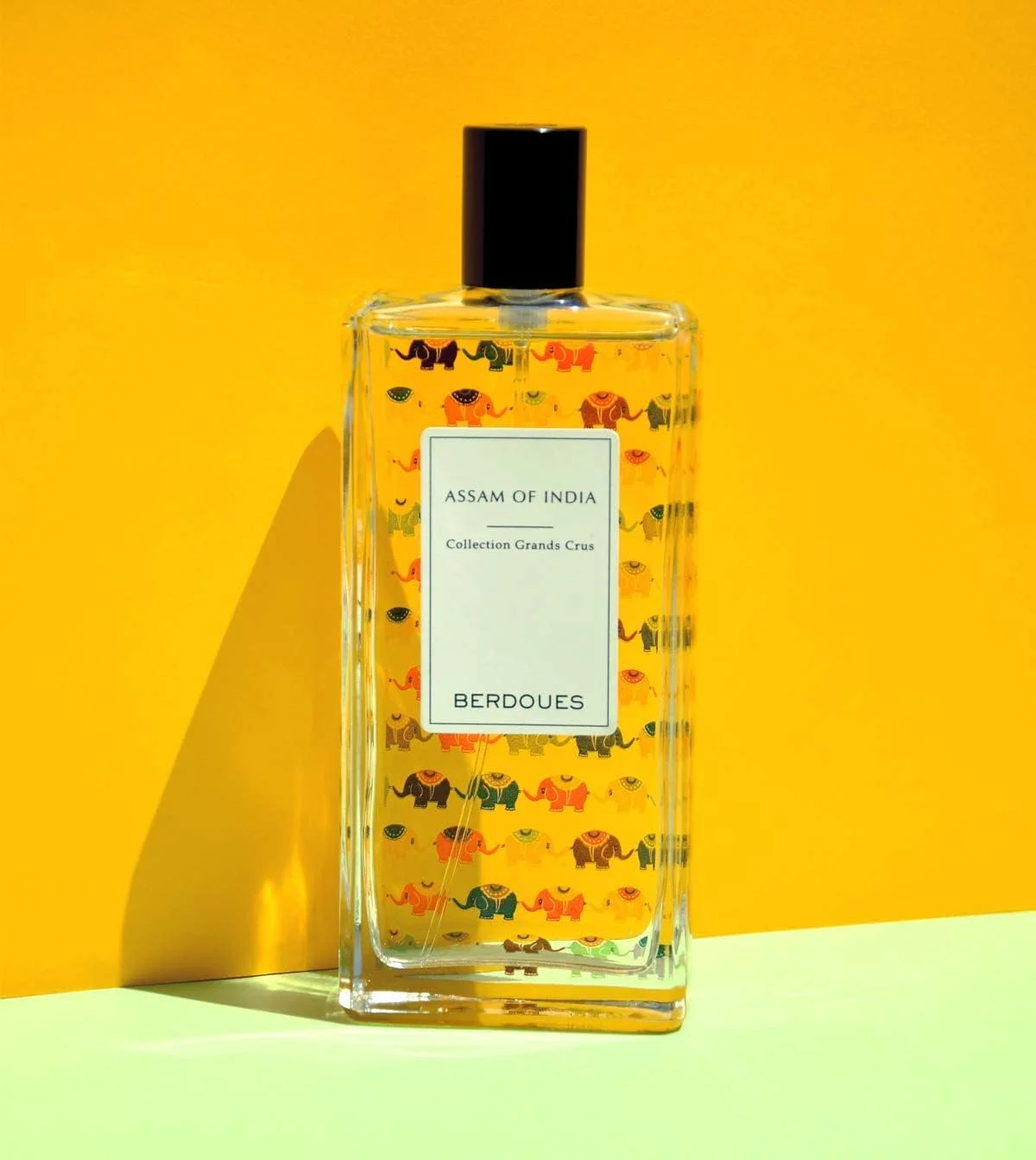 عطر بردوس آسام آف ایندیا [100ml] - کالکشن گرند کروز، ادو پرفیوم مردانه و زنانه، رایحه ادویه ای | زیبایی و مراقبت شخصی