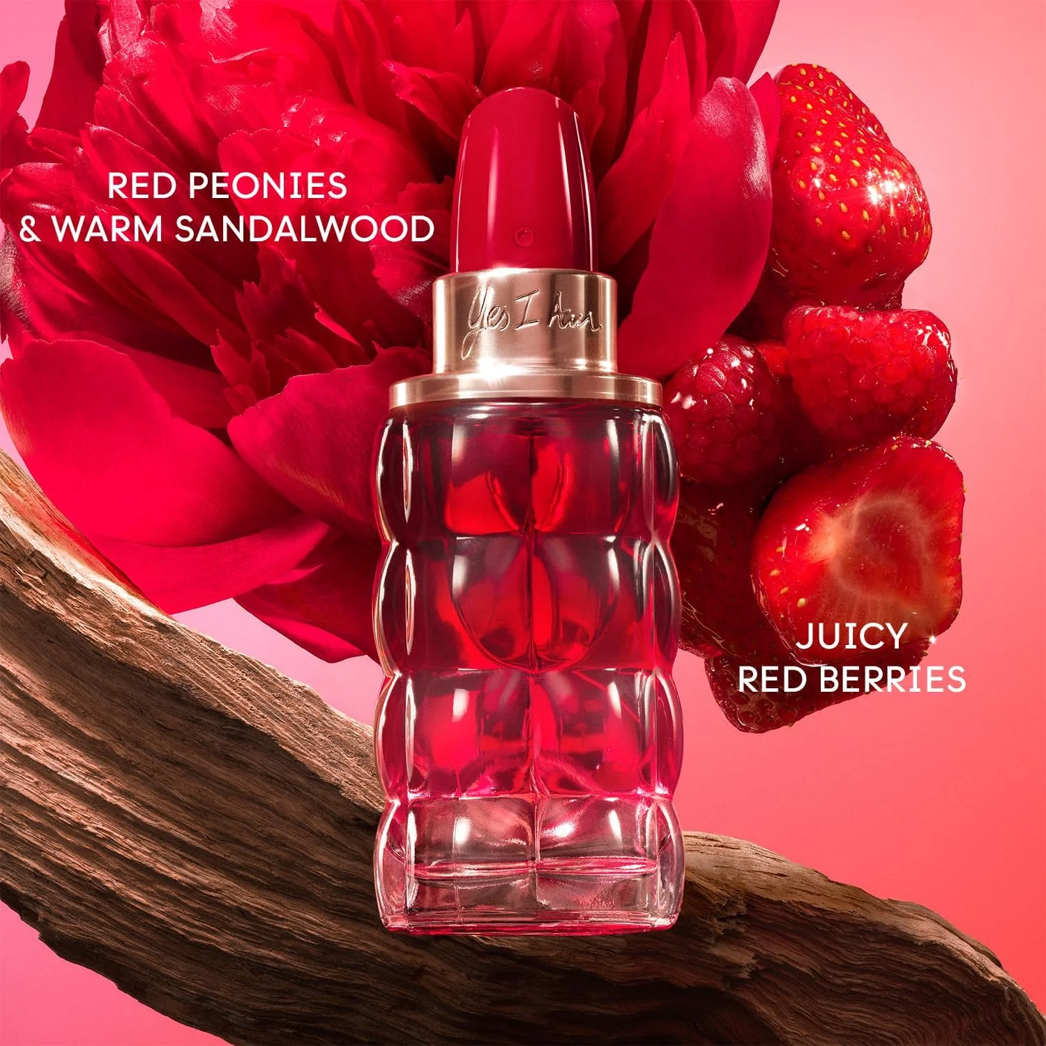عطر زنانه کاشارل Yes I am Bloom Up! ادو پرفیوم اسپری، رایحه میوه ای، گلی و تازه، با رایحه توت قرمز، گل صد تومانی و چوب صندل، ماندگاری طولانی، 30 میلی لیتر