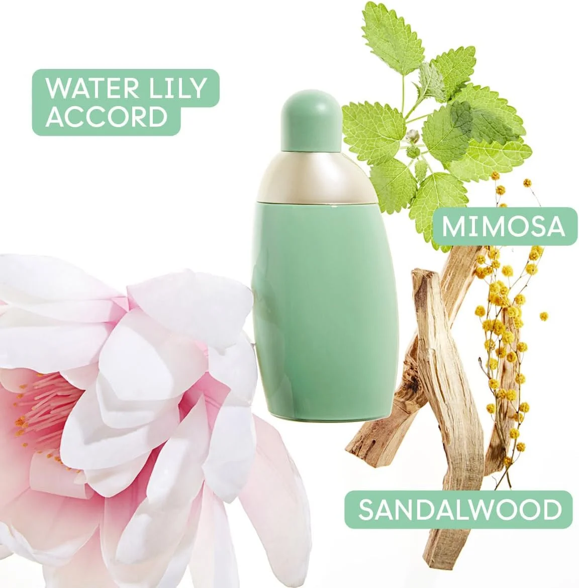 عطر ادن زنانه کاشارل ادو پرفیوم اسپری، 30 میلی لیتر