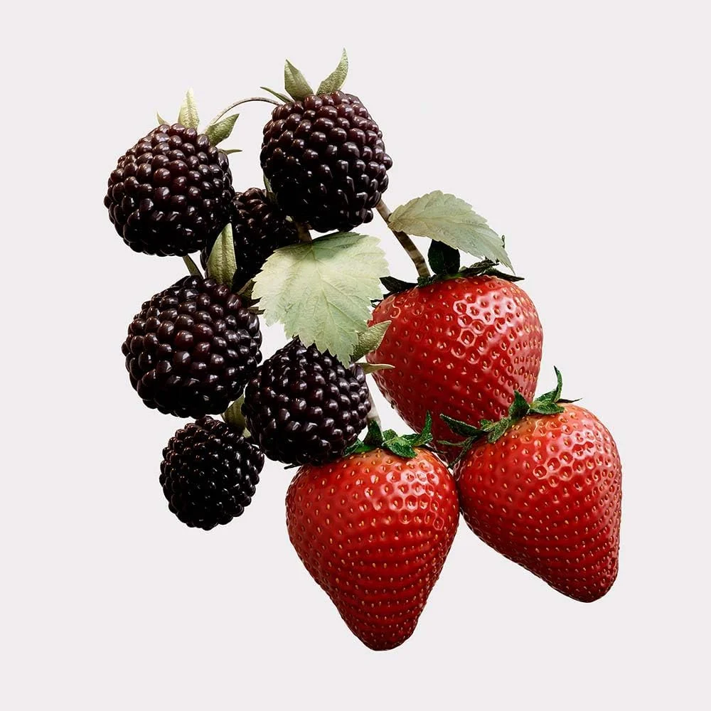 عطر زنانه باربری هر الکسیر ادو پرفیوم اینتنس 30 میلی لیتر عطر زنانه باربری هر الکسیر ادو پرفیوم اینتنس 30 میلی لیتر