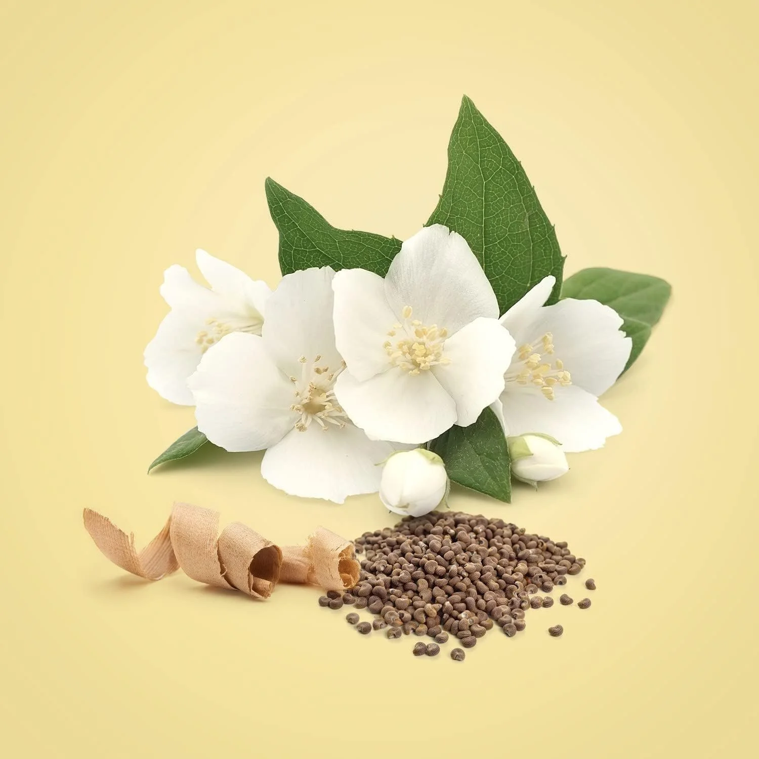 عطر ادو پرفیوم زنانه کلوین کلاین بیوتی 50 میلی لیتر عطر ادو پرفیوم زنانه کلوین کلاین بیوتی 50 میلی لیتر