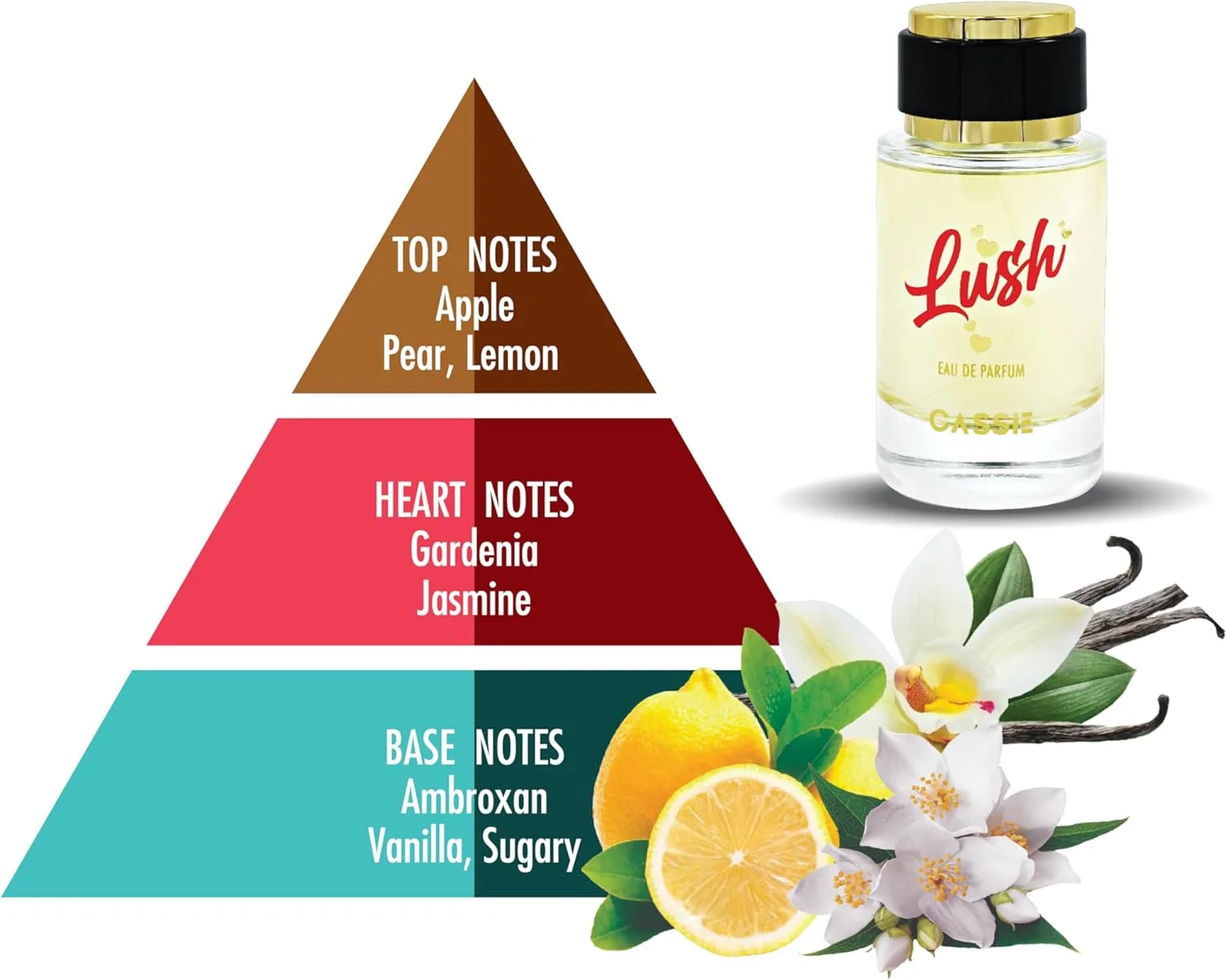 ادو پرفیوم زنانه Cassie Lush - عطر میوه ای گلی ماندگار با رایحه های سیب، یاس و وانیل - اسپری ادو پرفیوم 100 میلی لیتر (3.4 fl. oz)