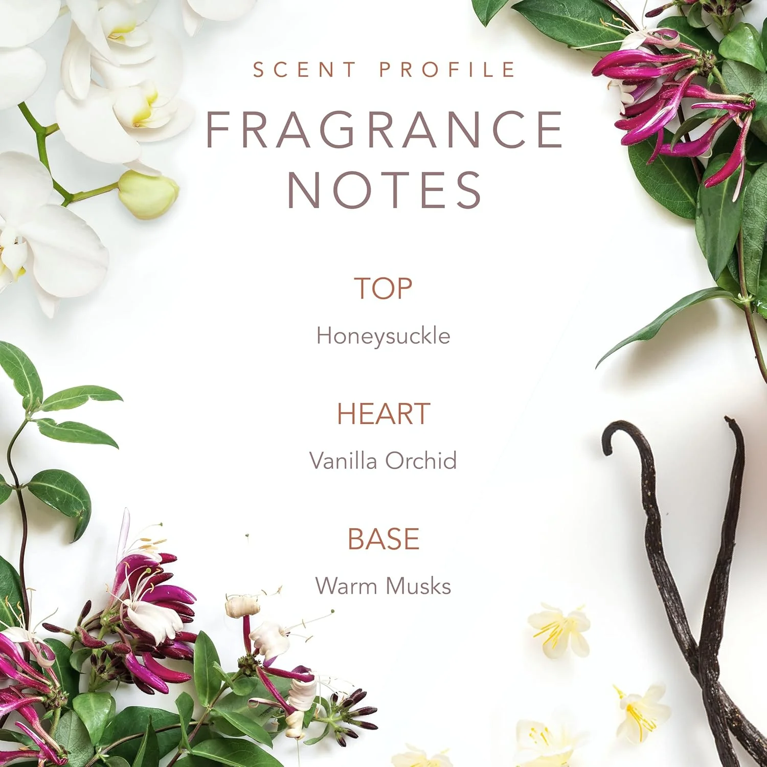 اسپری بدن دالی پارتون تِنِسی سانست از Scent Beauty - عطر زنانه - رایحه ای میوه ای، گلی و زنانه با نت هایی از پیچ امین الدوله، ارکیده وانیلی و مشک های گرم - 8.0 Fl Oz