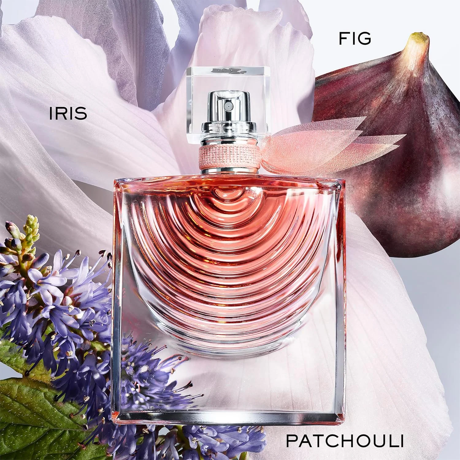 ادو پرفیوم زنانه لانکوم La Vie Est Belle Iris Absolu - عطری گرم و تند - با رایحه های زنبق، یاس و انجیر - ماندگاری طولانی - 50 میلی لیتر ادو پرفیوم زنانه لانکوم La Vie Est Belle Iris Absolu - عطری گرم و تند - با رایحه های زنبق، یاس و انجیر - ماندگاری طولانی - 50 میلی لیتر