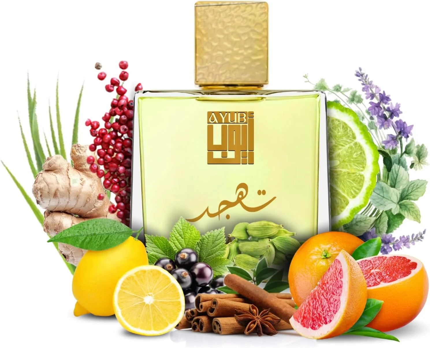 تهجد از ایوب - ادو پرفیوم لوکس و ماندگار برای مردان و زنان 100 میلی لیتر تهجد از ایوب - ادو پرفیوم لوکس و ماندگار برای مردان و زنان 100 میلی لیتر