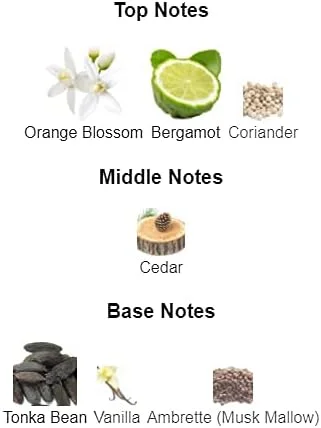 عطر унисекс The Woods Collection Timeless Eau De Parfum، 100 میلی لیتر عطر унисекс The Woods Collection Timeless Eau De Parfum، 100 میلی لیتر