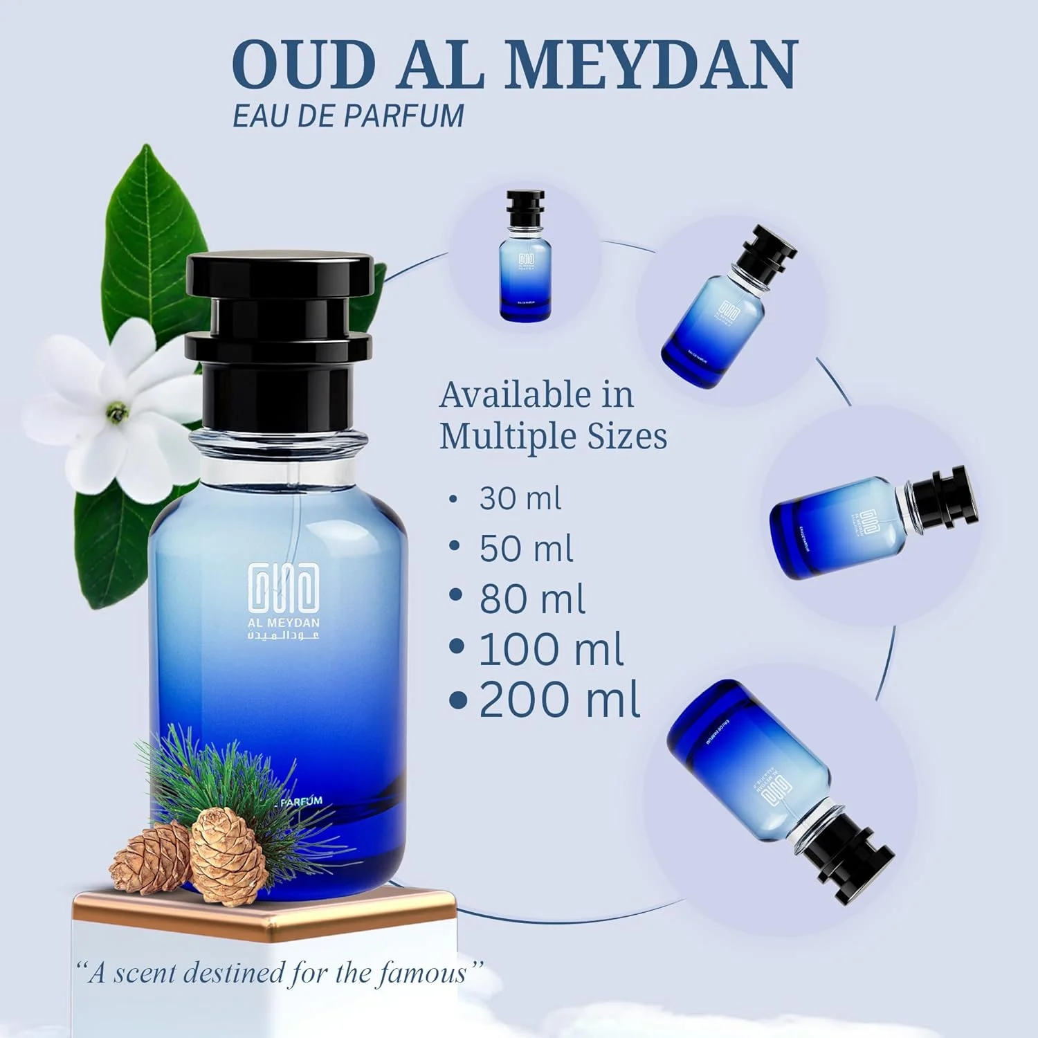 عطر روغنی زنانه عود المیدان – الهام گرفته از ونیتا – عطر روغنی بدون الکل با رایحه های لیمو، گل تیاره و سدر – ماندگاری طولانی، رایحه ای تازه، گلی و ظریف (50 میلی لیتر)