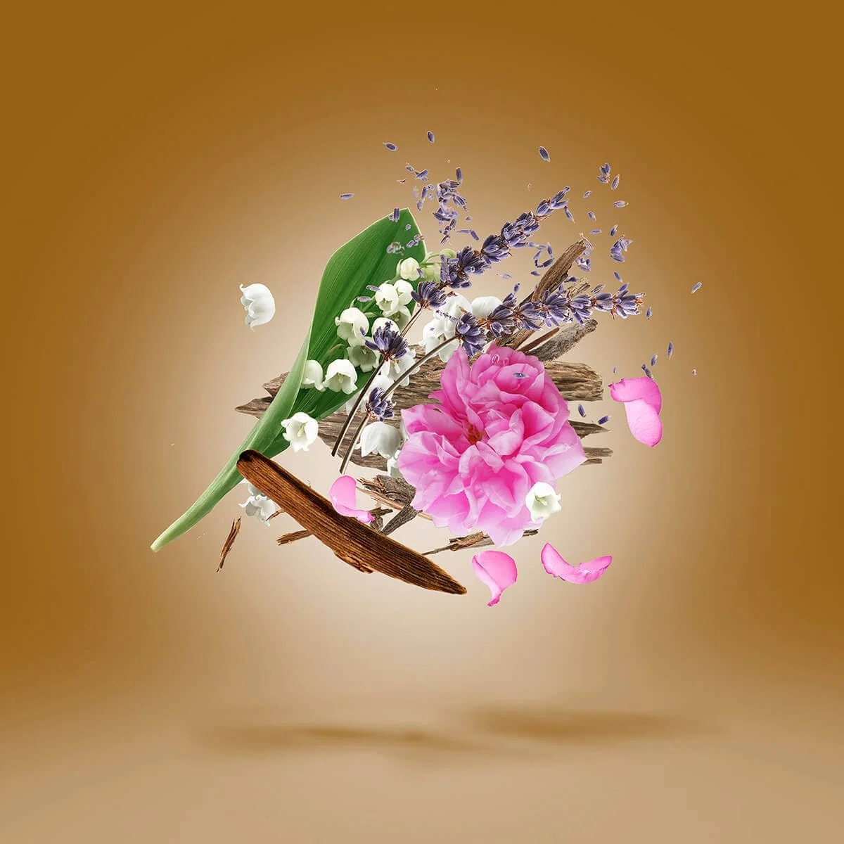 عطر ادکلن زنانه/مردانه زرجوف عود استارز الکساندریا 2 ادو پرفیوم 50 میلی لیتر عطر ادکلن زنانه/مردانه زرجوف عود استارز الکساندریا 2 ادو پرفیوم 50 میلی لیتر