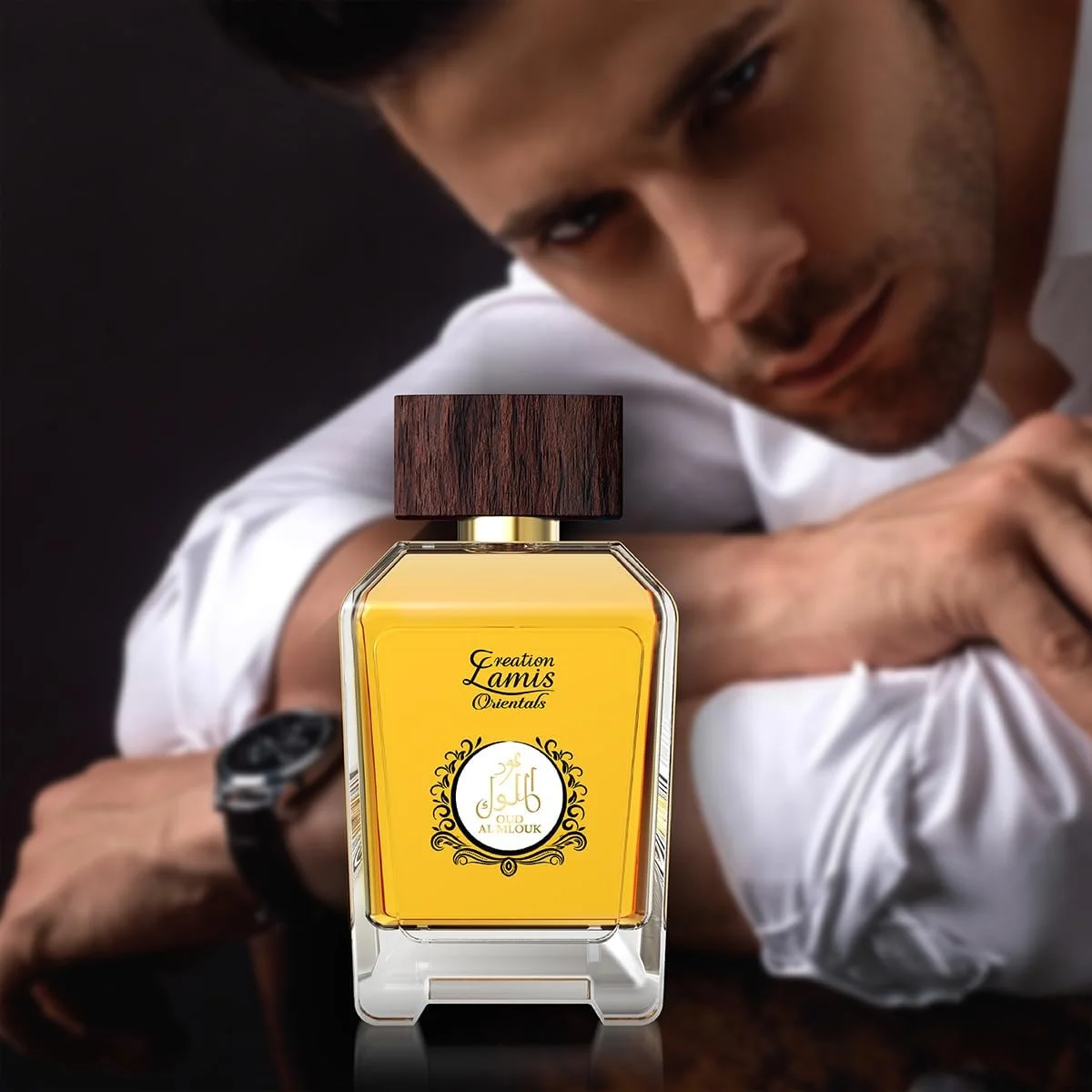 کریشن لامیس - Orientals Oud Al Mlouk | رایحه تند و سبز ماندگار | عطر یونیسکس | ادو پرفیوم (EDP) - 100 میلی لیتر / 3.4 fl.oz کریشن لامیس - Orientals Oud Al Mlouk | رایحه تند و سبز ماندگار | عطر یونیسکس | ادو پرفیوم (EDP) - 100 میلی لیتر / 3.4 fl.oz