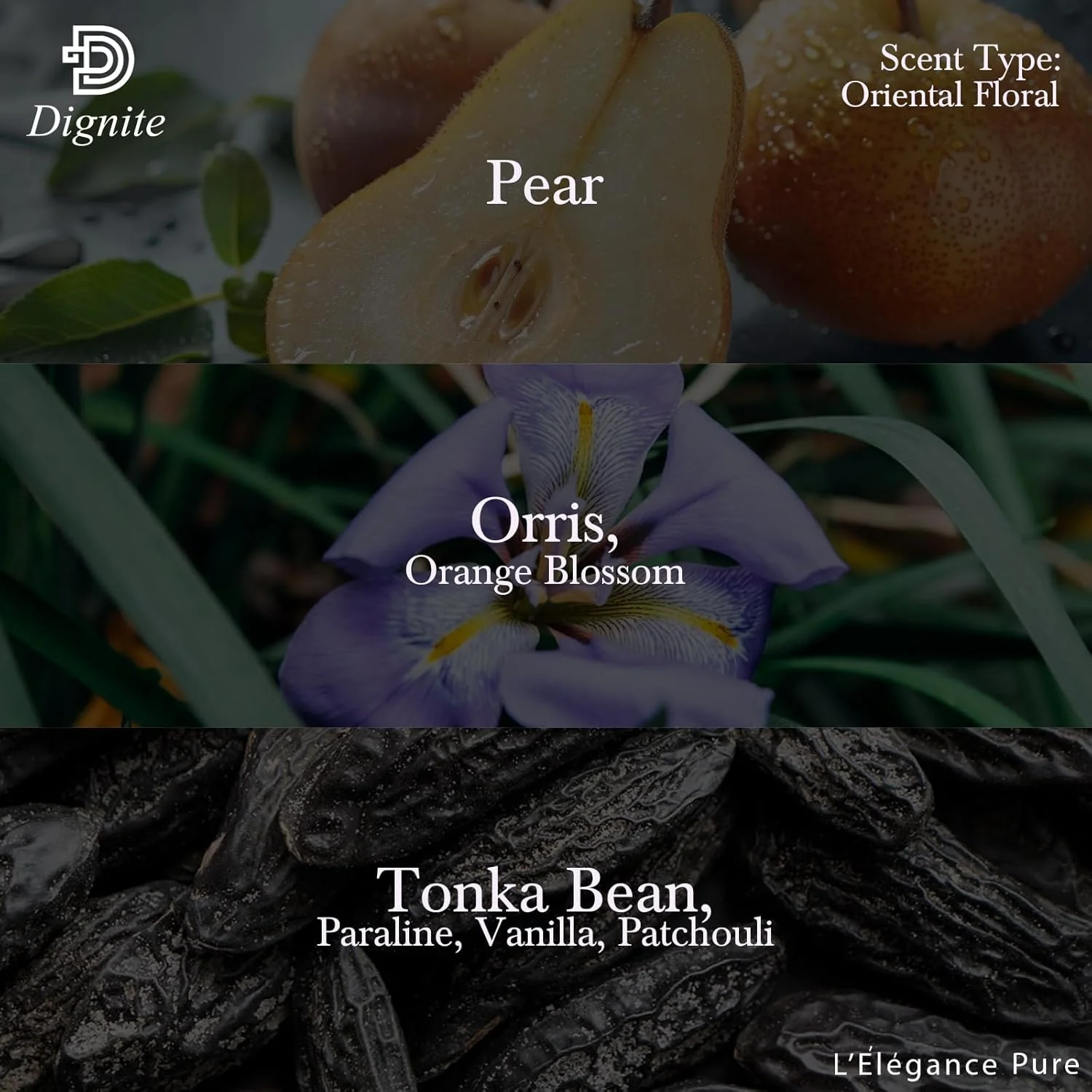 DIGNITE L'ELEGANCE PURE 60ml - EDP - زنانه DIGNITE L'ELEGANCE PURE 60ml - EDP - زنانه