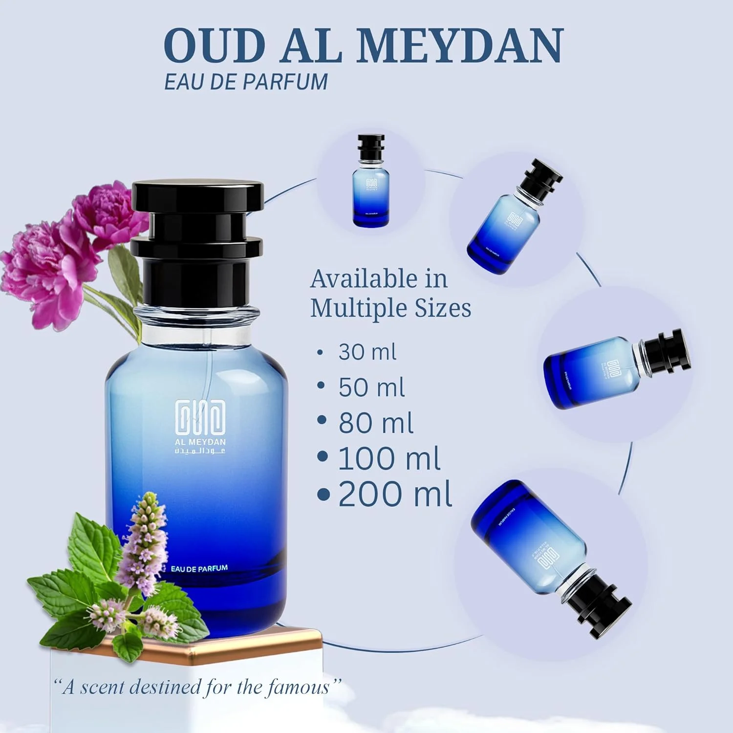 عطر روغنی زنانه عود المیدان – الهام گرفته از Eliie – روغن عطر بدون الکل با رایحه های لیچی، رز و نعناع هندی – ماندگاری طولانی، رایحه ای تازه، گلی و پیچیده (200 میلی لیتر) عطر روغنی زنانه عود المیدان – الهام گرفته از Eliie – روغن عطر بدون الکل با رایحه های لیچی، رز و نعناع هندی – ماندگاری طولانی، رایحه ای تازه، گلی و پیچیده (200 میلی لیتر)