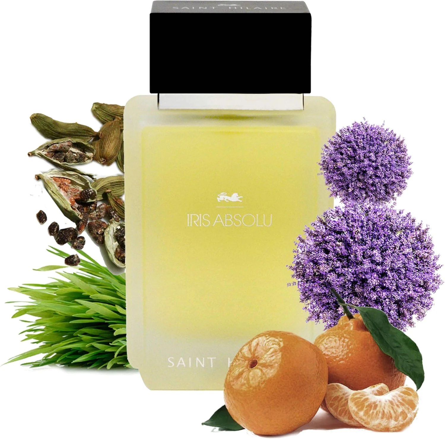 ادکلن مردانه سن هیلاری Iris Absolu Eau De Parfum 100ml ادکلن مردانه سن هیلاری Iris Absolu Eau De Parfum 100ml