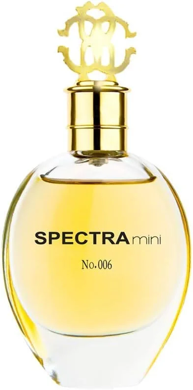 عطر جیبی زنانه اسپکترا مینی 006 - 25 میلی لیتر عطر جیبی زنانه اسپکترا مینی 006 - 25 میلی لیتر