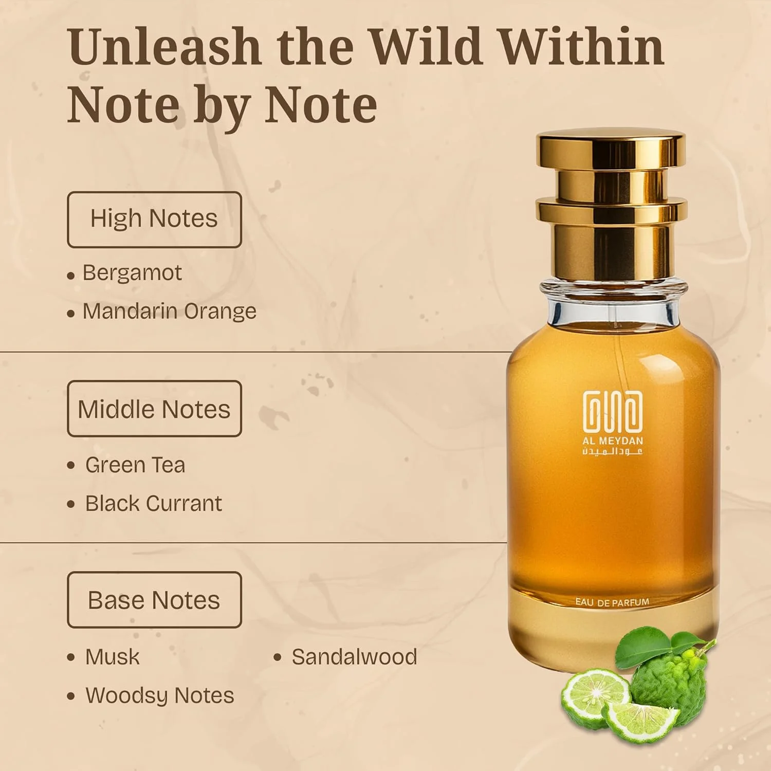 عطر روغنی عود المیدان زنانه و مردانه – مشابه رایحه سوپریماسی هاونز – عطر روغنی تازه بدون الکل با رایحه ترنج، چای سبز و چوب صندل – ماندگاری طولانی 8-10 ساعت (200 میلی لیتر) عطر روغنی عود المیدان زنانه و مردانه – مشابه رایحه سوپریماسی هاونز – عطر روغنی تازه بدون الکل با رایحه ترنج، چای سبز و چوب صندل – ماندگاری طولانی 8-10 ساعت (200 میلی لیتر)