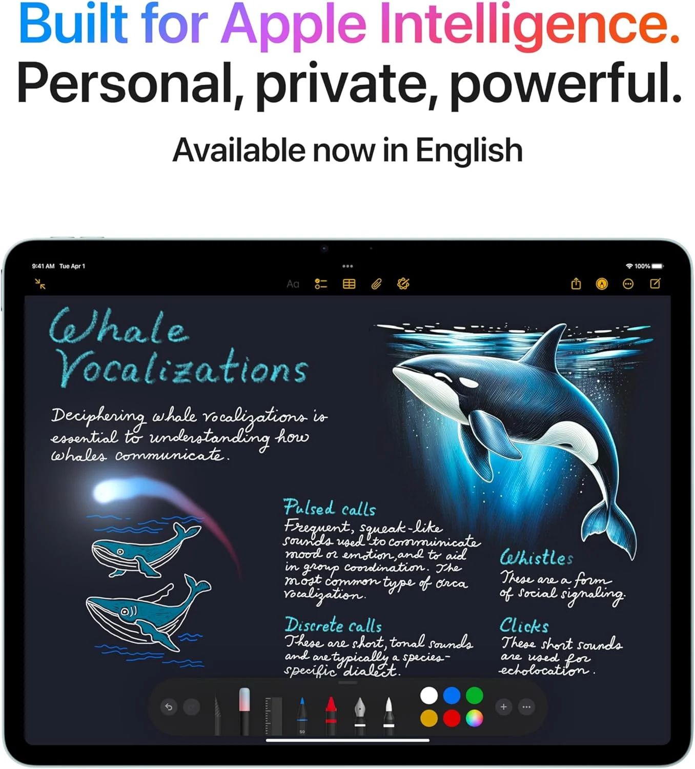 آیپد ایر ۱۱ اینچی اپل با تراشه M3، ساخته شده برای هوش مصنوعی اپل، نمایشگر Liquid Retina، ۱۲۸ گیگابایت، دوربین جلو/عقب ۱۲ مگاپیکسلی، Wi-Fi 6E، Touch ID، عمر باتری تمام روز — آبی