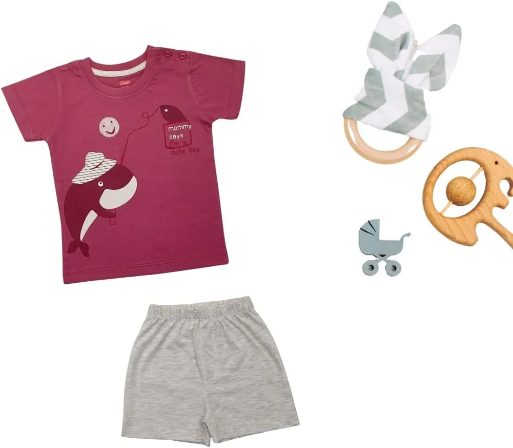 تی شرت پسرانه آستین کوتاه Luv Lap - PO-5، پسرانه، تی شرت پسرانه آستین کوتاه