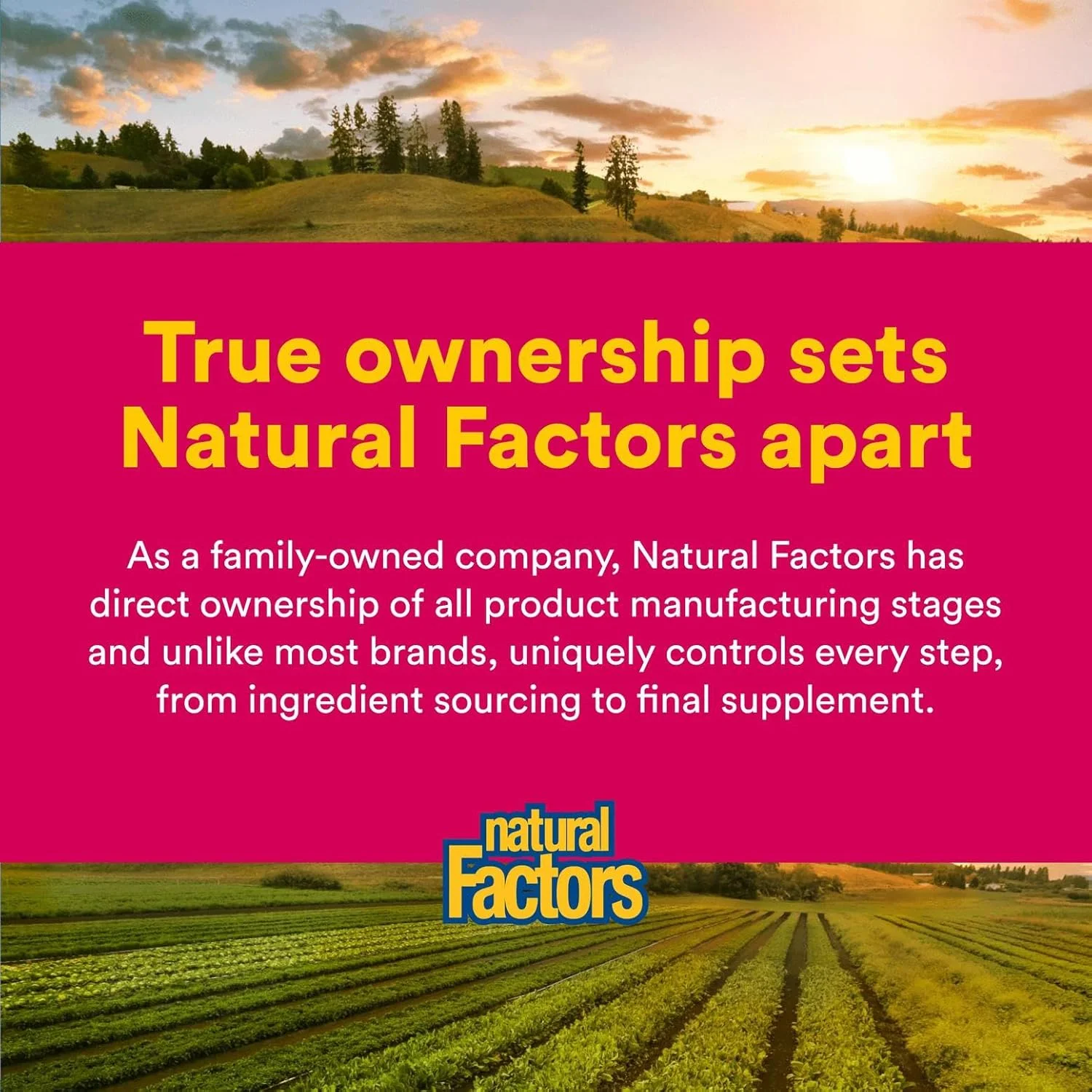 Natural Factors سیترات منیزیم 150 میلی گرم 180 کپسول Natural Factors سیترات منیزیم 150 میلی گرم 180 کپسول