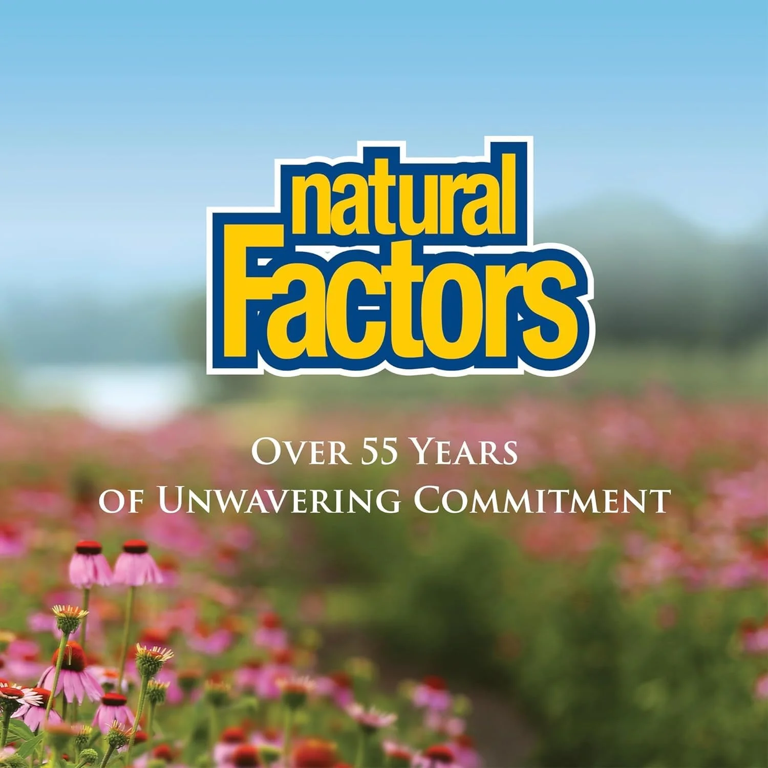 Natural Factors سیترات منیزیم 150 میلی گرم 180 کپسول Natural Factors سیترات منیزیم 150 میلی گرم 180 کپسول