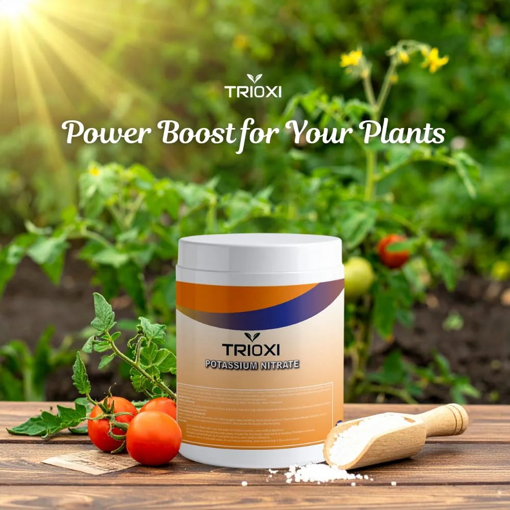 کود نیترات پتاسیم تریوکسی 1 کیلوگرمی برای گیاهان داخلی و خارجی، تقویت کننده خاک برای ریحان، نعناع، ​​دانه های گل، تولید شیشه، تصفیه فلزات و تصفیه آب