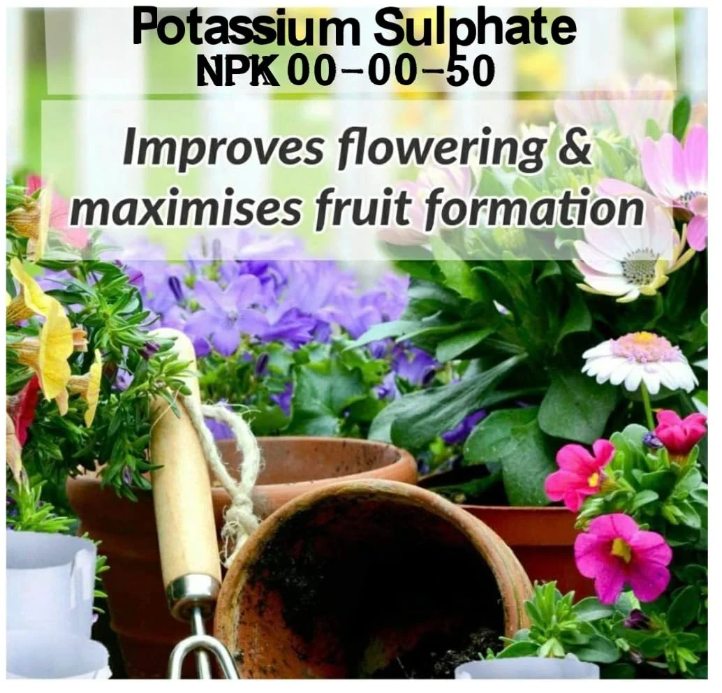 کود سولفات پتاسیم NPK 0-0-50-17 ممتاز کاملاً محلول در آب "GREEN PLANET" (بهترین انتخاب برای استفاده در کشورهای حوزه خلیج فارس) کود سولفات پتاسیم NPK 0-0-50-17 ممتاز کاملاً محلول در آب "GREEN PLANET" (بهترین انتخاب برای استفاده در کشورهای حوزه خلیج فارس)