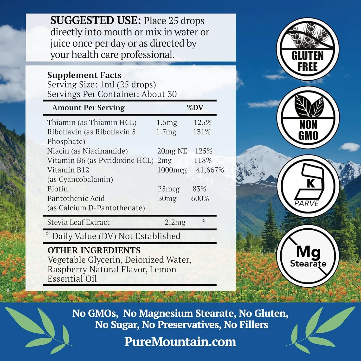 مایع کمپلکس ویتامین B Pure Mountain Botanicals - طعم تمشک، ویتامین B کمپلکس کوشر با B12، B6، تیامین، بیوتین، نیاسین - بطری 1 اونسی