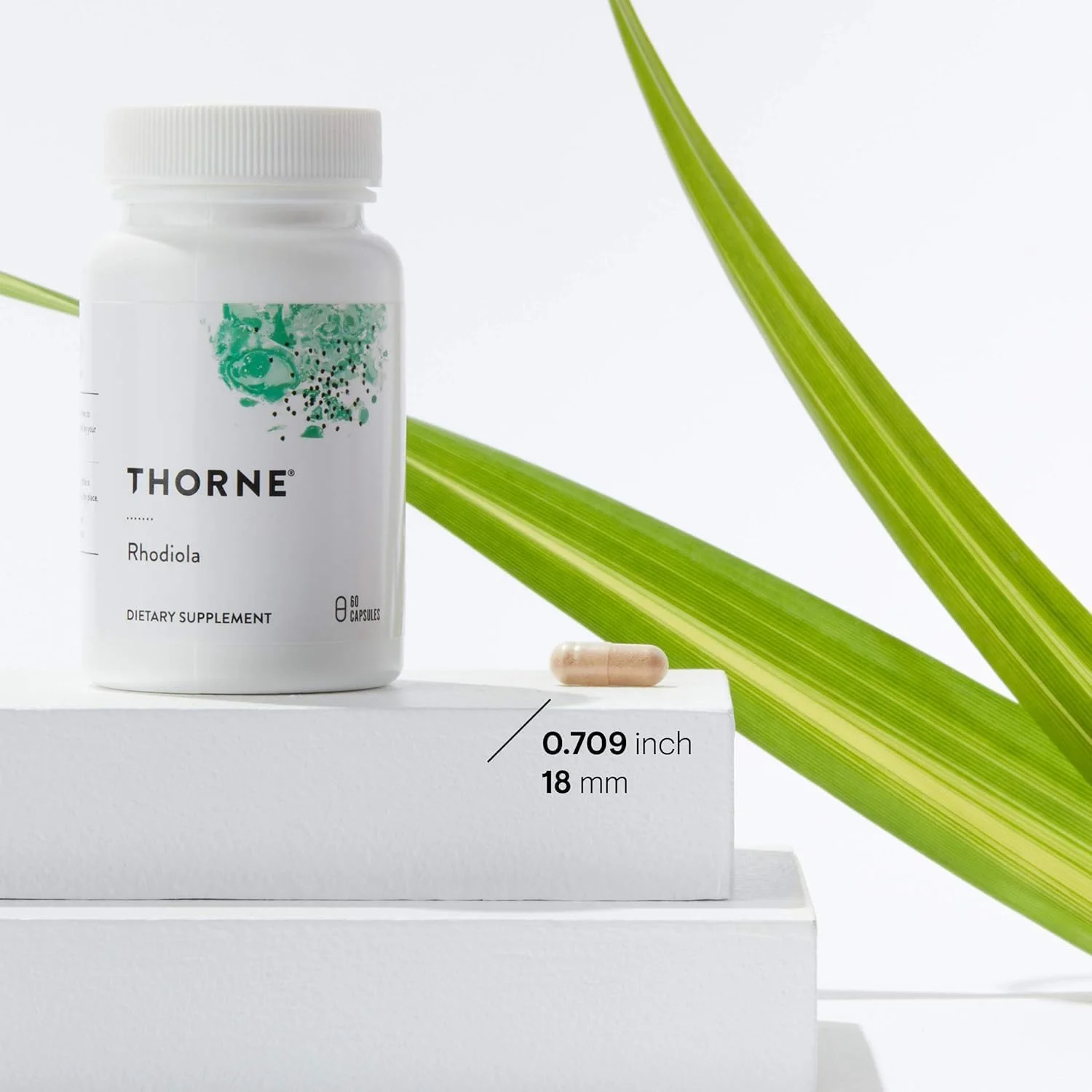 THORNE Rhodiola - مکمل گیاهی برای کاهش استرس - تقویت خواب و تمرکز ذهنی - 60 کپسول THORNE Rhodiola - مکمل گیاهی برای کاهش استرس - تقویت خواب و تمرکز ذهنی - 60 کپسول