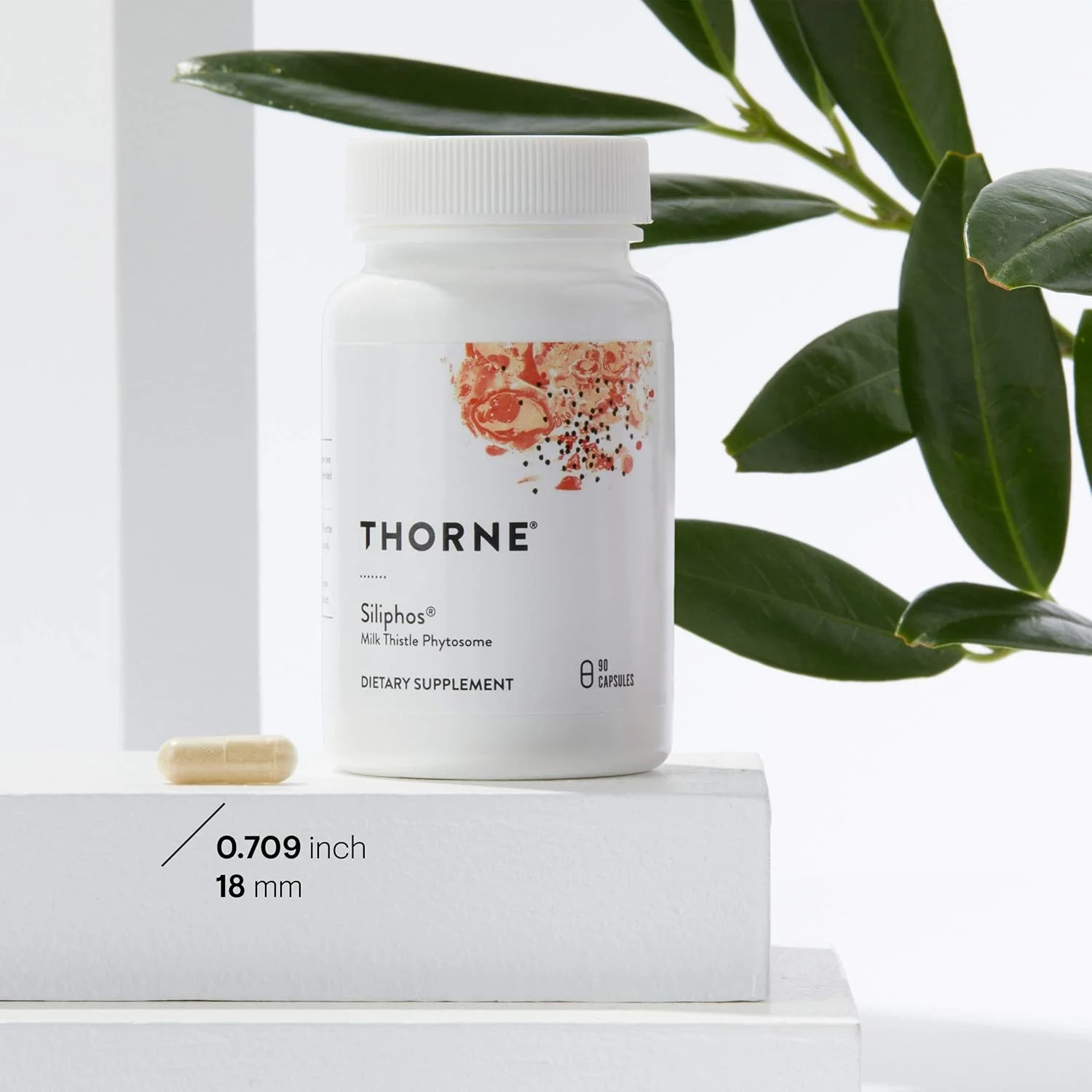 مکمل خار مریم سیلیفس THORNE - پشتیبانی از کبد و کمک به حفظ سطح طبیعی گلوتاتیون - بدون گلوتن، بدون سویا - 90 کپسول مکمل خار مریم سیلیفس THORNE - پشتیبانی از کبد و کمک به حفظ سطح طبیعی گلوتاتیون - بدون گلوتن، بدون سویا - 90 کپسول