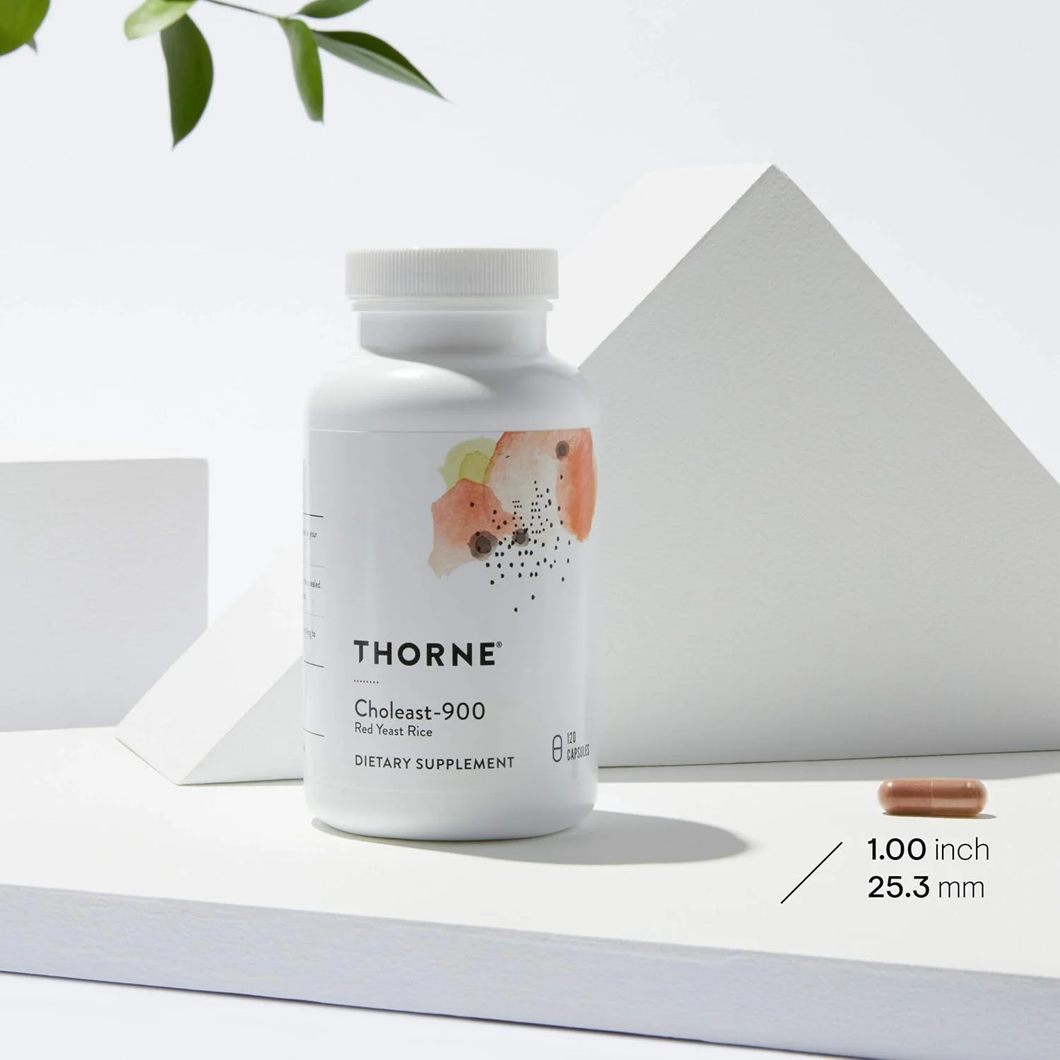 THORNE Choleast-900 - 900mg عصاره برنج مخمر قرمز - مکمل بدون گلوتن برای حمایت از سطح کلسترول سالم در محدوده نرمال، قلب و فشار خون - 120 کپسول THORNE Choleast-900 - 900mg عصاره برنج مخمر قرمز - مکمل بدون گلوتن برای حمایت از سطح کلسترول سالم در محدوده نرمال، قلب و فشار خون - 120 کپسول
