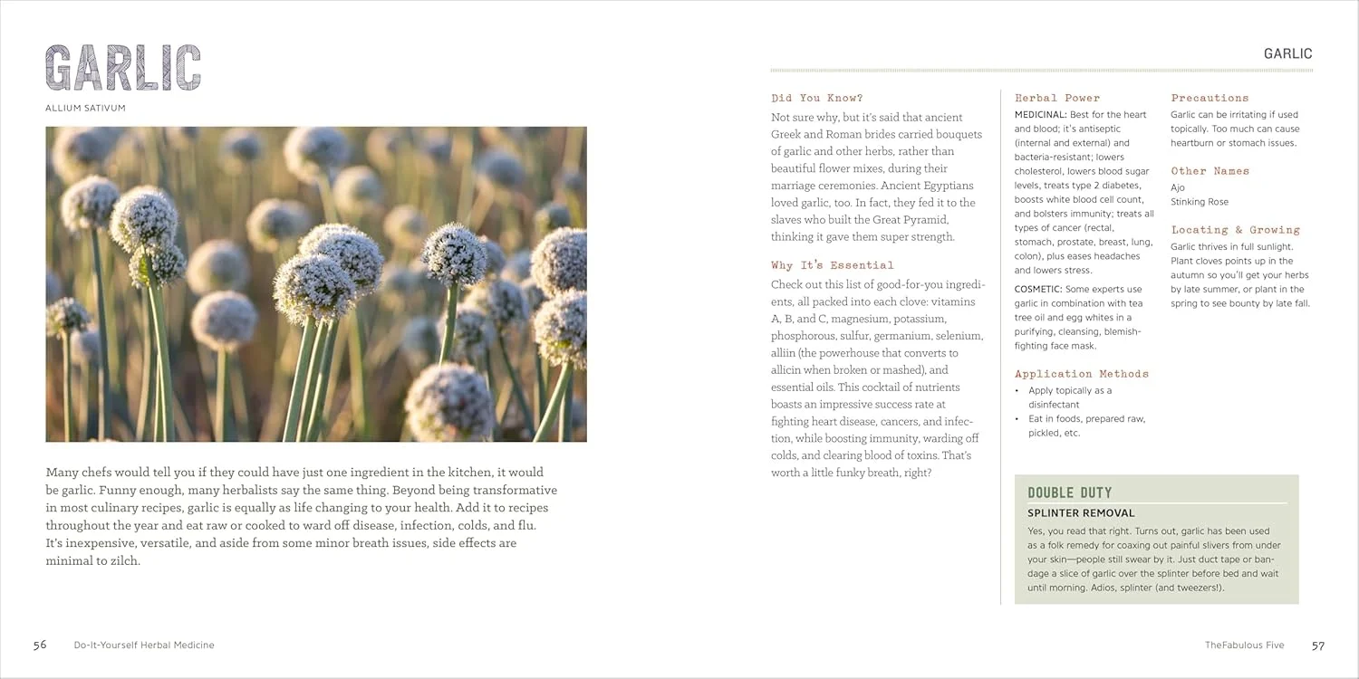 داروهای گیاهی خودساز سونوما پرس: درمان های خانگی برای سلامتی و زیبایی