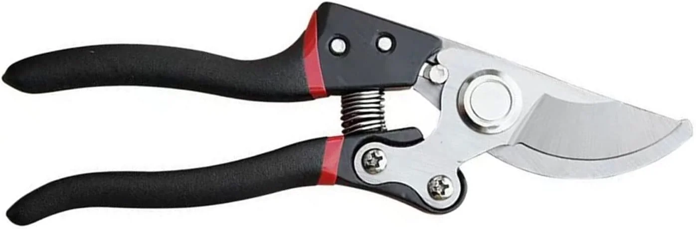 قیچی باغبانی AOCATE، یک عدد، قیچی هرس باغ، تیغه هرس درختان، قیچی باغبانی، ابزار برش بونسای، قیچی هرس بونسای قیچی باغبانی AOCATE، یک عدد، قیچی هرس باغ، تیغه هرس درختان، قیچی باغبانی، ابزار برش بونسای، قیچی هرس بونسای