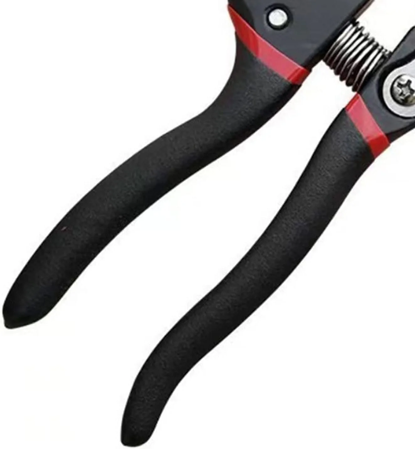 قیچی باغبانی AOCATE، یک عدد، قیچی هرس باغ، تیغه هرس درختان، قیچی باغبانی، ابزار برش بونسای، قیچی هرس بونسای قیچی باغبانی AOCATE، یک عدد، قیچی هرس باغ، تیغه هرس درختان، قیچی باغبانی، ابزار برش بونسای، قیچی هرس بونسای