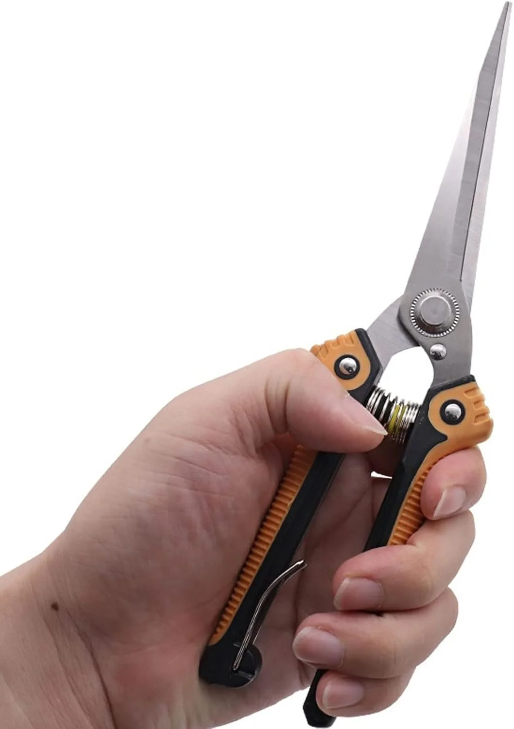 قیچی باغبانی AOCATE، قیچی هرس باغ، قیچی شاخه گلدانی، قیچی چیدن میوه، ابزار دستی خانگی، ابزار باغبانی مزرعه باغ قیچی باغبانی AOCATE، قیچی هرس باغ، قیچی شاخه گلدانی، قیچی چیدن میوه، ابزار دستی خانگی، ابزار باغبانی مزرعه باغ