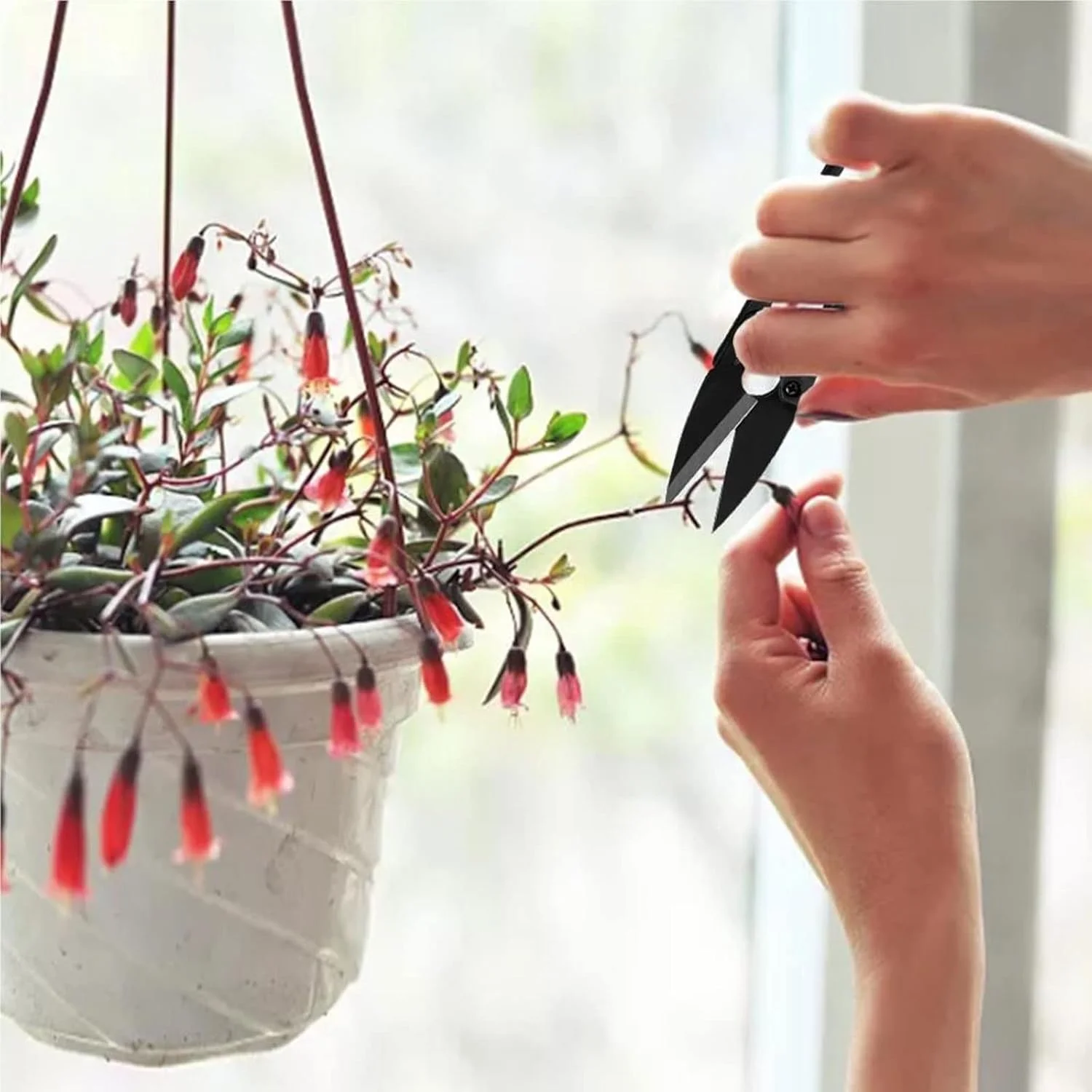 قیچی باغبانی AOCATE، یک عدد، قیچی هرس، لوازم جانبی گیاهان خانگی، قیچی بونسای، ابزار برش و پیرایش قیچی باغبانی AOCATE، یک عدد، قیچی هرس، لوازم جانبی گیاهان خانگی، قیچی بونسای، ابزار برش و پیرایش