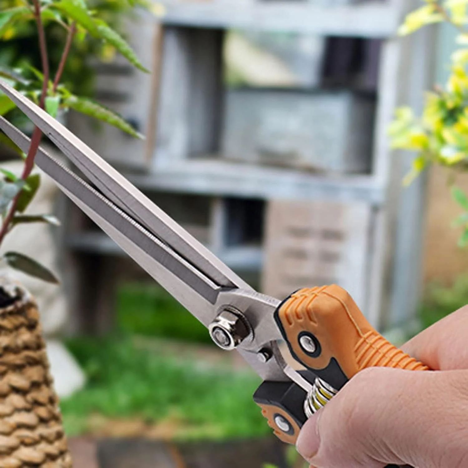 قیچی باغبانی AOCATE، قیچی هرس باغ، قیچی شاخه گلدانی، قیچی چیدن میوه، ابزار دستی خانگی، ابزار باغبانی مزرعه باغ قیچی باغبانی AOCATE، قیچی هرس باغ، قیچی شاخه گلدانی، قیچی چیدن میوه، ابزار دستی خانگی، ابزار باغبانی مزرعه باغ