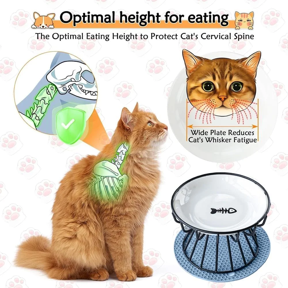 کاسه غذای گربه AMERTEER - سرامیکی مناسب سبیل - بشقاب استخوانی 6 اینچی با قاب آهنی مشکی - کاسه مرتفع ضد استفراغ برای گربه ها و سگ ها - ظرف غذا و آب برای محافظت از مهره های گردنی
