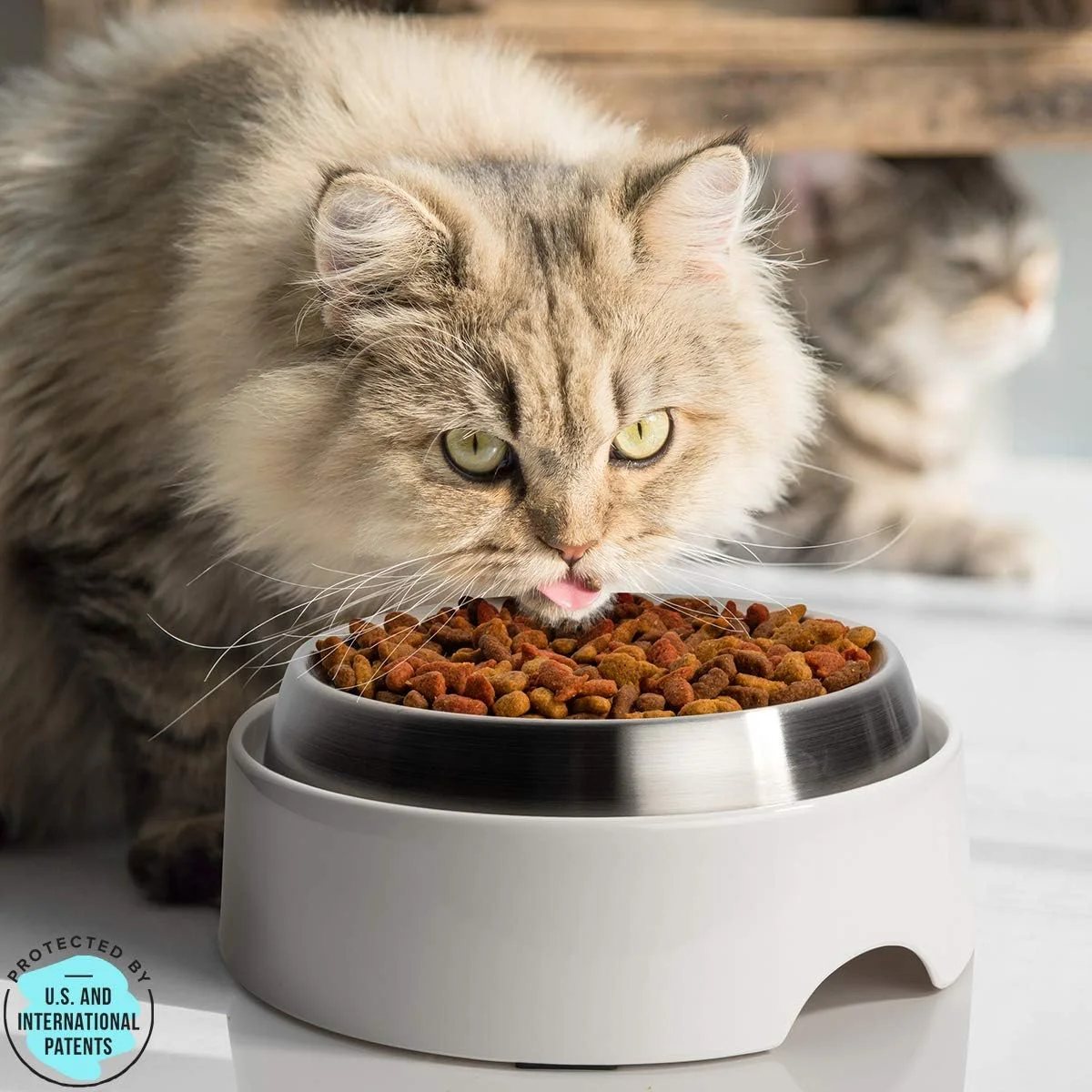 میز غذای CatGuru برای کاسه گربه، ایستگاه تغذیه حیوانات خانگی ضد لغزش برای کاسه های غذای گربه، پایه بلند برای کاسه های آب و غذای گربه، فیدر مرتفع گربه، پایه ظرف حیوانات خانگی بدون استرس (Marshnallow)