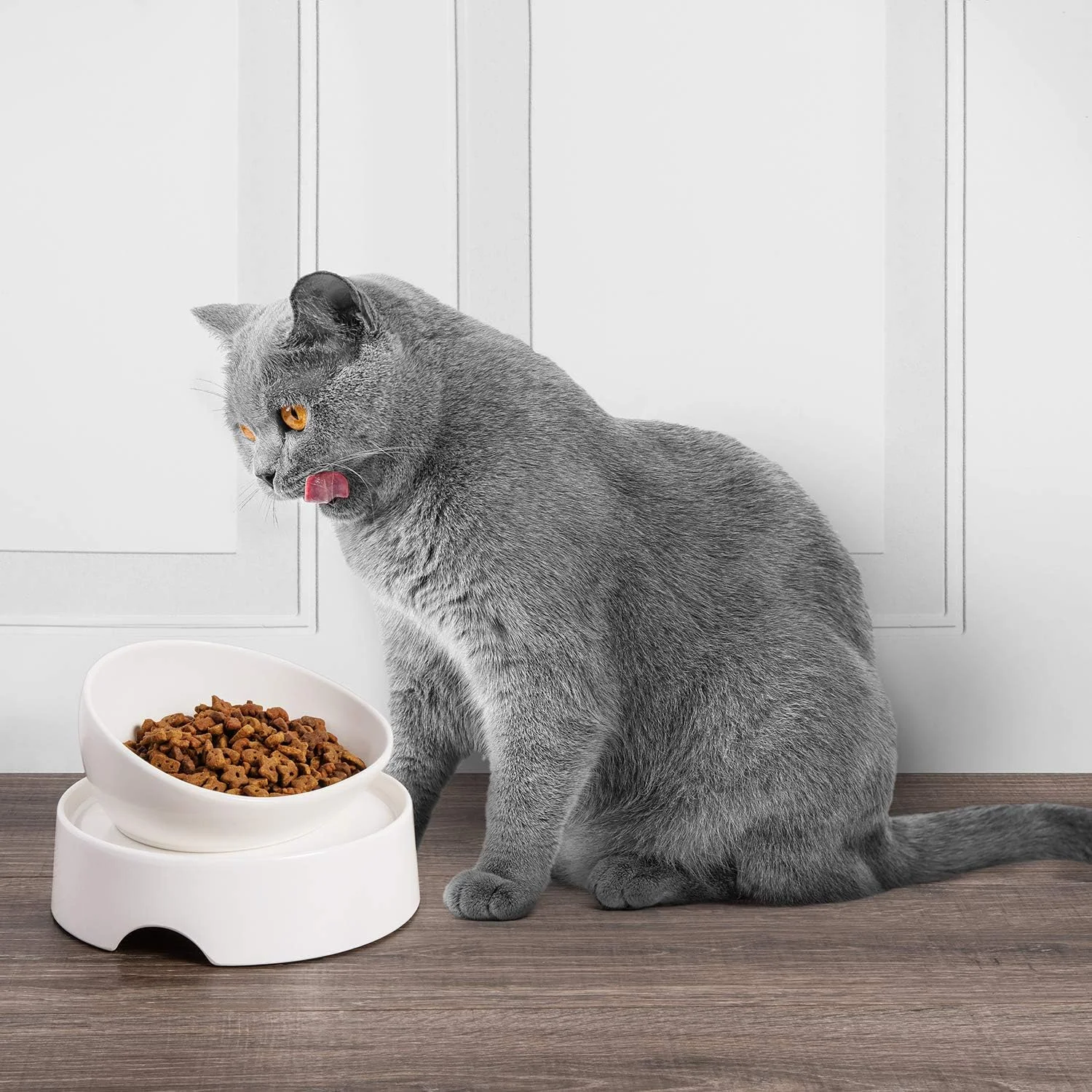 میز غذای CatGuru برای کاسه گربه، ایستگاه تغذیه حیوانات خانگی ضد لغزش برای کاسه های غذای گربه، پایه بلند برای کاسه های آب و غذای گربه، فیدر مرتفع گربه، پایه ظرف حیوانات خانگی بدون استرس (Marshnallow)