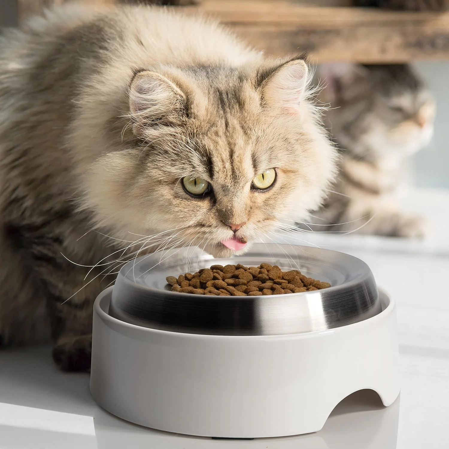 ظروف غذای گربه CatGuru، ظرف غذای گربه بدون استرس سبیل، رفع خستگی سبیل، ظرف گربه پهن، ظروف غذای گربه ضد لغزش، ظرف کم عمق گربه، لوازم غذا و آب گربه (ست 2 عددی، استیل ضد زنگ)