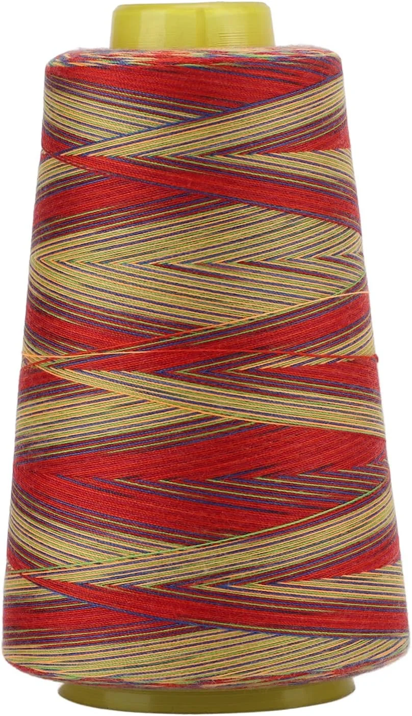نخ گلدوزی رنگارنگ 3000 یاردی NDNCZDHC، قرقره نخ پلی استر بزرگ 3.8 اینچی برای ماشین گلدوزی خیاطی خانگی
