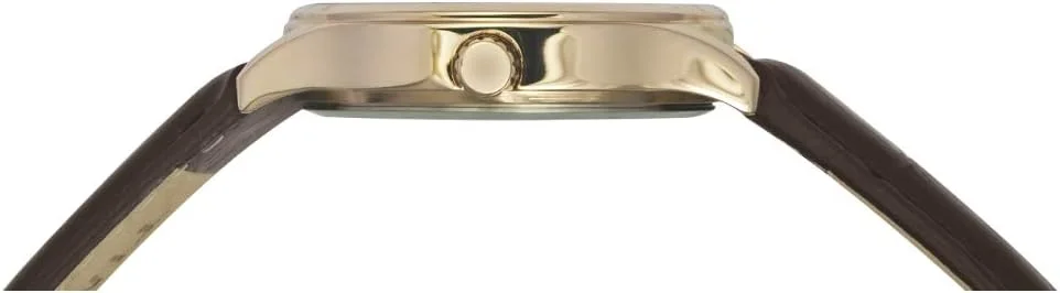 ساعت مچی آنالوگ مردانه TIMEX Classics با صفحه گرد و ضد آب، قهوه ای، سایز آزاد، بند