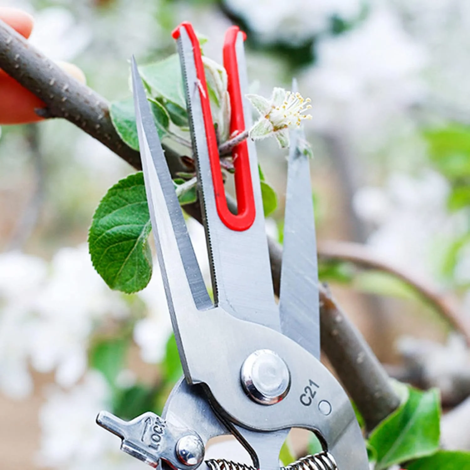 قیچی باغبانی فولادی کربنی ZERZENGGENGPT برای درخت گلابی، قیچی دو دهانه، ابزار هرس باغبانی، کشاورزی قیچی باغبانی فولادی کربنی ZERZENGGENGPT برای درخت گلابی، قیچی دو دهانه، ابزار هرس باغبانی، کشاورزی