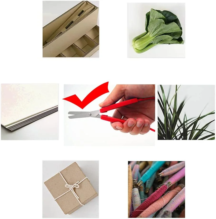 قیچی های حلقه ای YUTOU بسته 2 عددی، قیچی برش تطبیقی، قیچی با دسته برای کودکان، تیغه ایمنی، نوک گرد، پشتیبانی از راست دست و چپ دست، دسته های فشاری با باز شدن آسان، مناسب برای سالمندان و افراد با نیازهای ویژه (قرمز) (2 عدد) قیچی های حلقه ای YUTOU بسته 2 عددی، قیچی برش تطبیقی، قیچی با دسته برای کودکان، تیغه ایمنی، نوک گرد، پشتیبانی از راست دست و چپ دست، دسته های فشاری با باز شدن آسان، مناسب برای سالمندان و افراد با نیازهای ویژه (قرمز) (2 عدد)