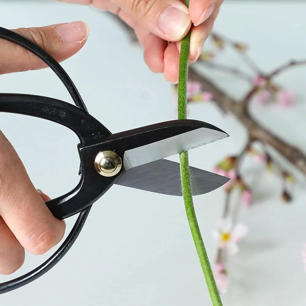 مجموعه ابزار ضروری ایکibana ژاپنی Wazakura 2 عددی ساخت ژاپن، کیت چیدمان گل [قیچی Koryu + کنزان مشکی گرد 61 میلی متری]