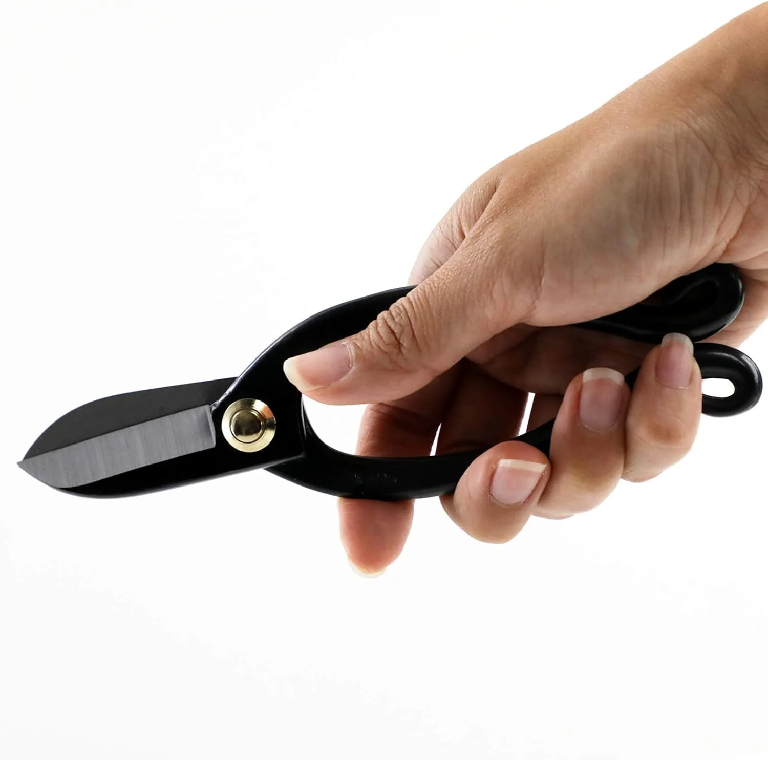 مجموعه ابزار ضروری ایکبانا وازاکورا 2 عددی ساخت ژاپن [قیچی ایکنوبو + کیت کنزان برنجی گرد 80 میلی متری]