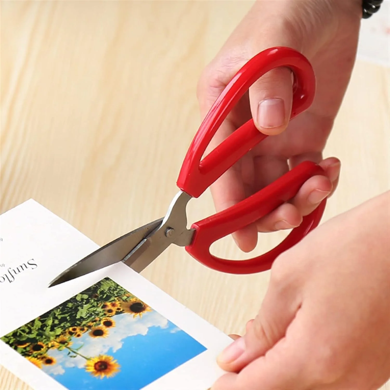 قیچی باغبانی بونسای WANAM، قیچی استیل ضد زنگ، قیچی اداری خانگی، کاغذبر، ابزار DIY دانشجویی، کاردستی بادوام قیچی باغبانی بونسای WANAM، قیچی استیل ضد زنگ، قیچی اداری خانگی، کاغذبر، ابزار DIY دانشجویی، کاردستی بادوام