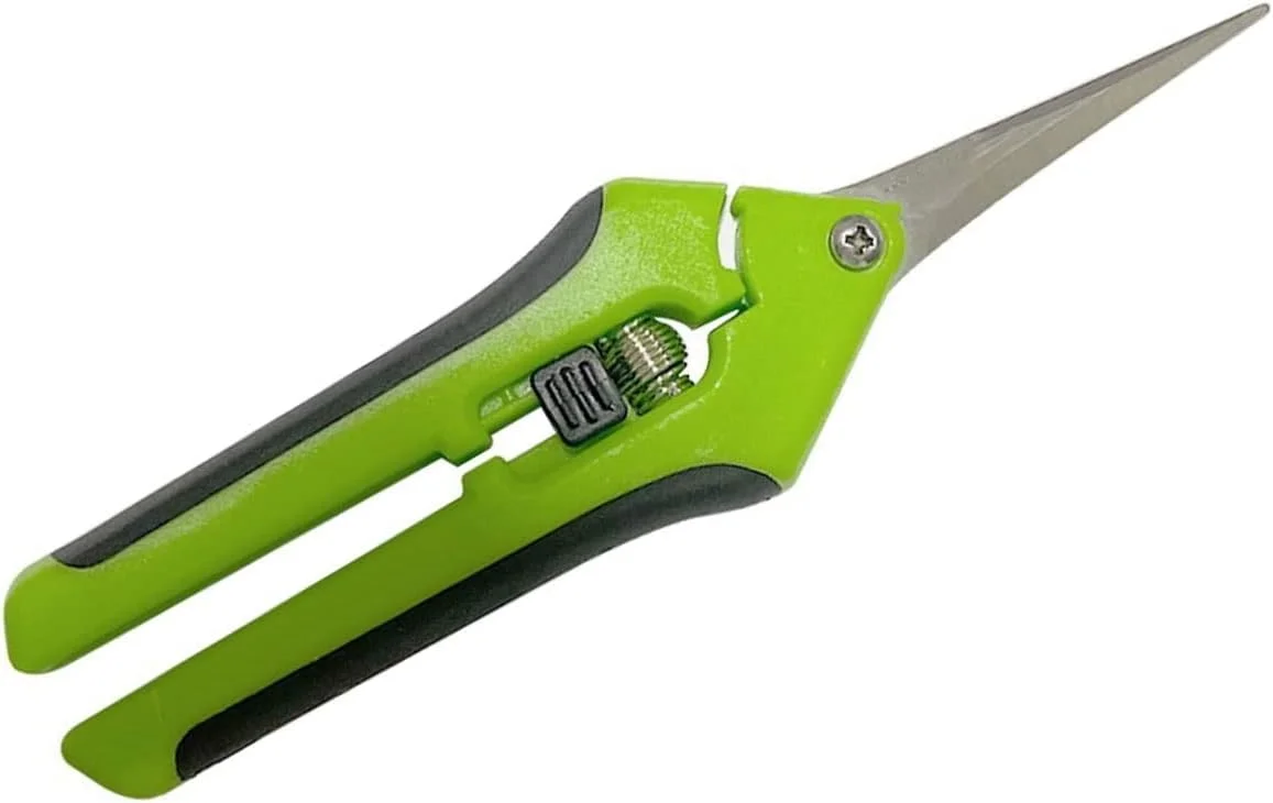 قیچی باغبانی بونسای WANAM، 1 عدد قیچی باغبانی، قیچی هرس، قیچی چیدن میوه، جنس استیل ضد زنگ بادوام با دسته ضد لغزش قیچی باغبانی بونسای WANAM، 1 عدد قیچی باغبانی، قیچی هرس، قیچی چیدن میوه، جنس استیل ضد زنگ بادوام با دسته ضد لغزش