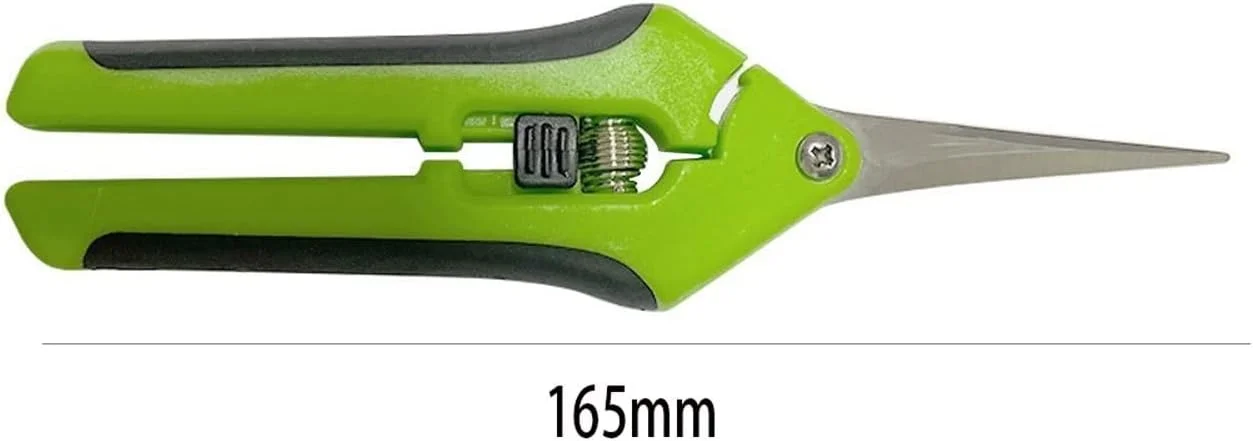 قیچی باغبانی بونسای WANAM، 1 عدد قیچی باغبانی، قیچی هرس، قیچی چیدن میوه، جنس استیل ضد زنگ بادوام با دسته ضد لغزش قیچی باغبانی بونسای WANAM، 1 عدد قیچی باغبانی، قیچی هرس، قیچی چیدن میوه، جنس استیل ضد زنگ بادوام با دسته ضد لغزش