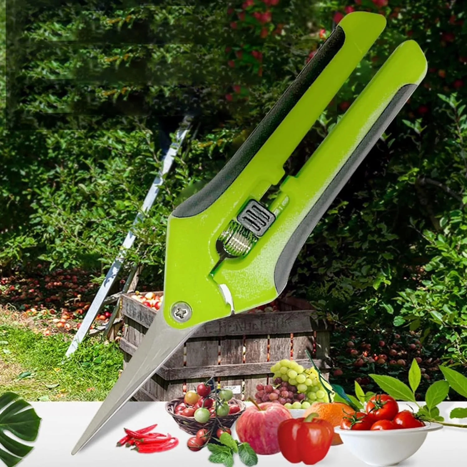 قیچی باغبانی بونسای WANAM، 1 عدد قیچی باغبانی، قیچی هرس، قیچی چیدن میوه، جنس استیل ضد زنگ بادوام با دسته ضد لغزش قیچی باغبانی بونسای WANAM، 1 عدد قیچی باغبانی، قیچی هرس، قیچی چیدن میوه، جنس استیل ضد زنگ بادوام با دسته ضد لغزش