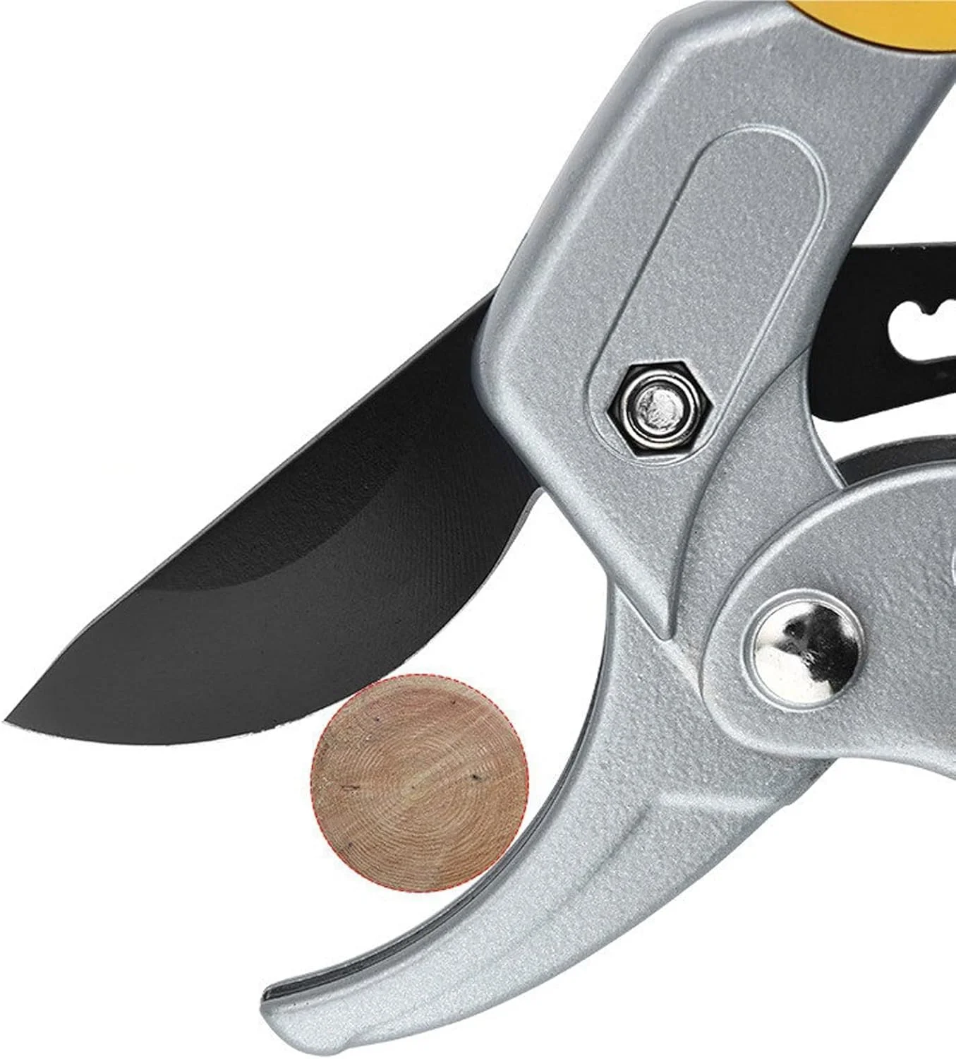 قیچی باغبانی بونسای WANAM، یک عدد، زرد رنگ، مناسب برای باغبانی، هرس کردن، قیچی باغبانی، ابزار هرس و پیرایش قیچی باغبانی بونسای WANAM، یک عدد، زرد رنگ، مناسب برای باغبانی، هرس کردن، قیچی باغبانی، ابزار هرس و پیرایش