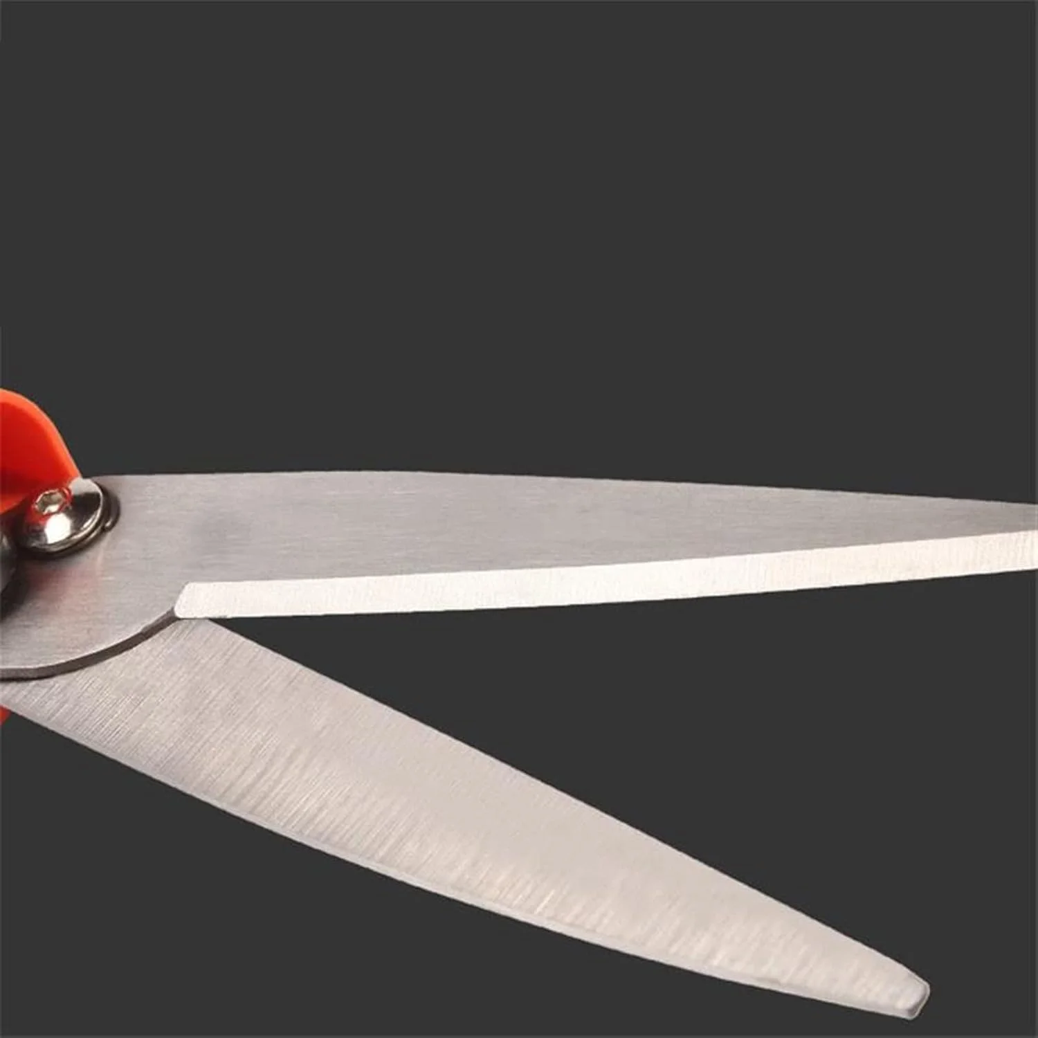 قیچی باغبانی بونسای WANAM، ابزار دستی حرفه ای برای باغ و باغچه، قیچی بونسای برای ماشین باغبانی، خردکن، قیچی هرس، علف زن قیچی باغبانی بونسای WANAM، ابزار دستی حرفه ای برای باغ و باغچه، قیچی بونسای برای ماشین باغبانی، خردکن، قیچی هرس، علف زن